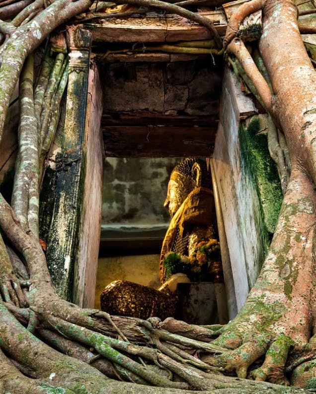 Wat Bang Kung (Tree Temple)